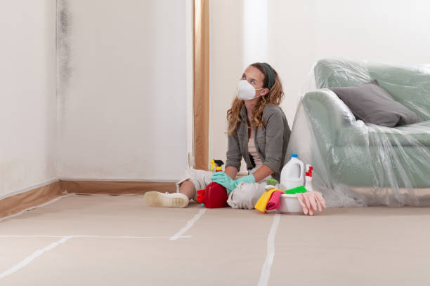 Reliable Mold Remediation contractor in Caldwell, TX by WQB Mold Removal